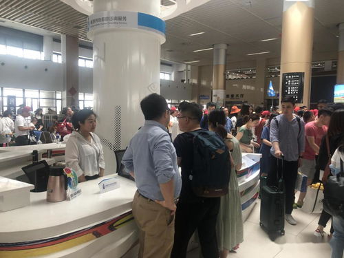 舟山市旅游咨询服务之星评选揭晓，十位杰出代表风采尽显